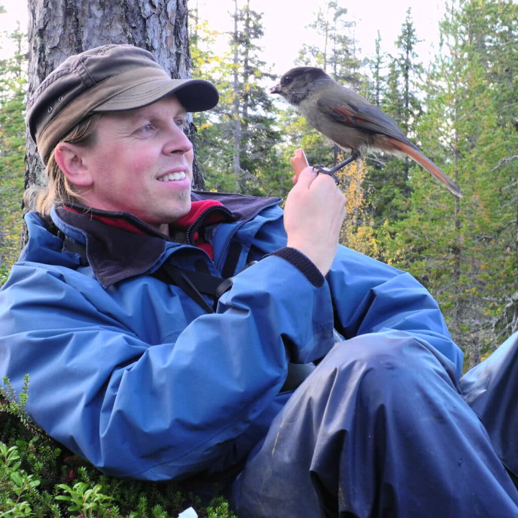 sebastian och lavskrika