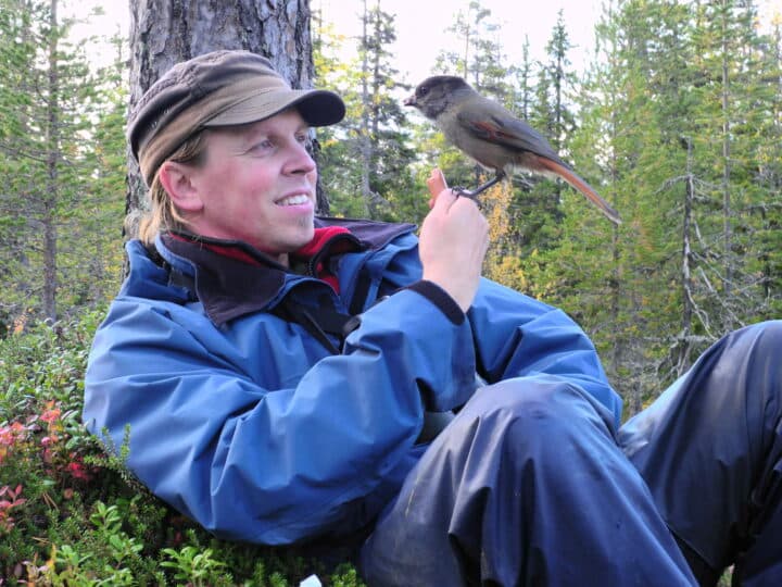 sebastian och lavskrika